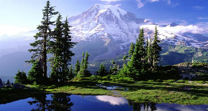 Pelling